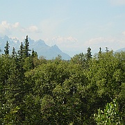 Picture 012